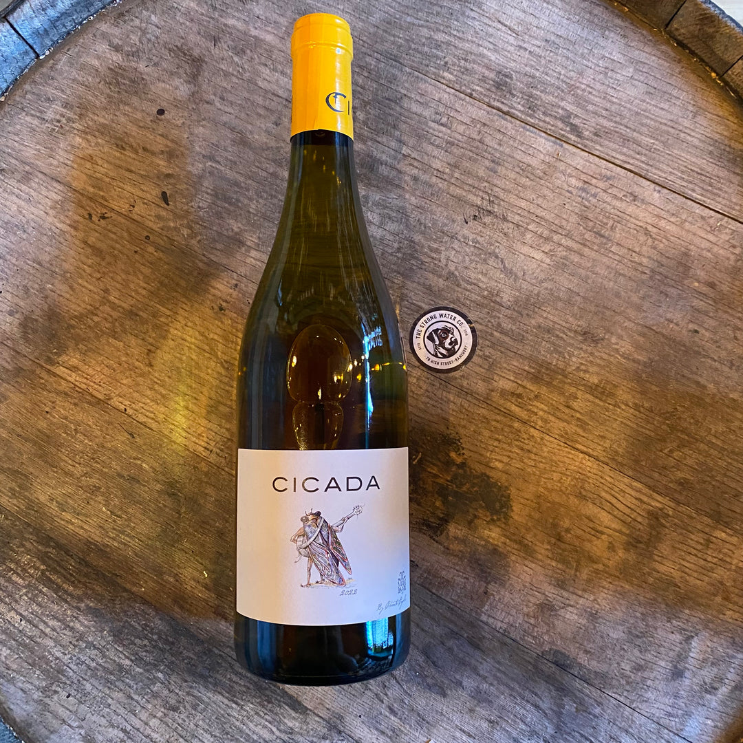 Cicada Blanc by Chante Cigale