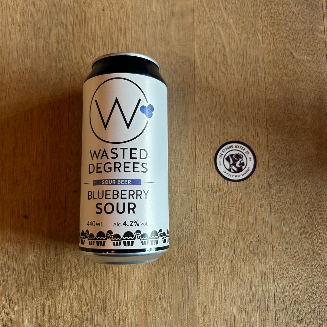 Blueberry Sour | Wasted Degrees Brewing