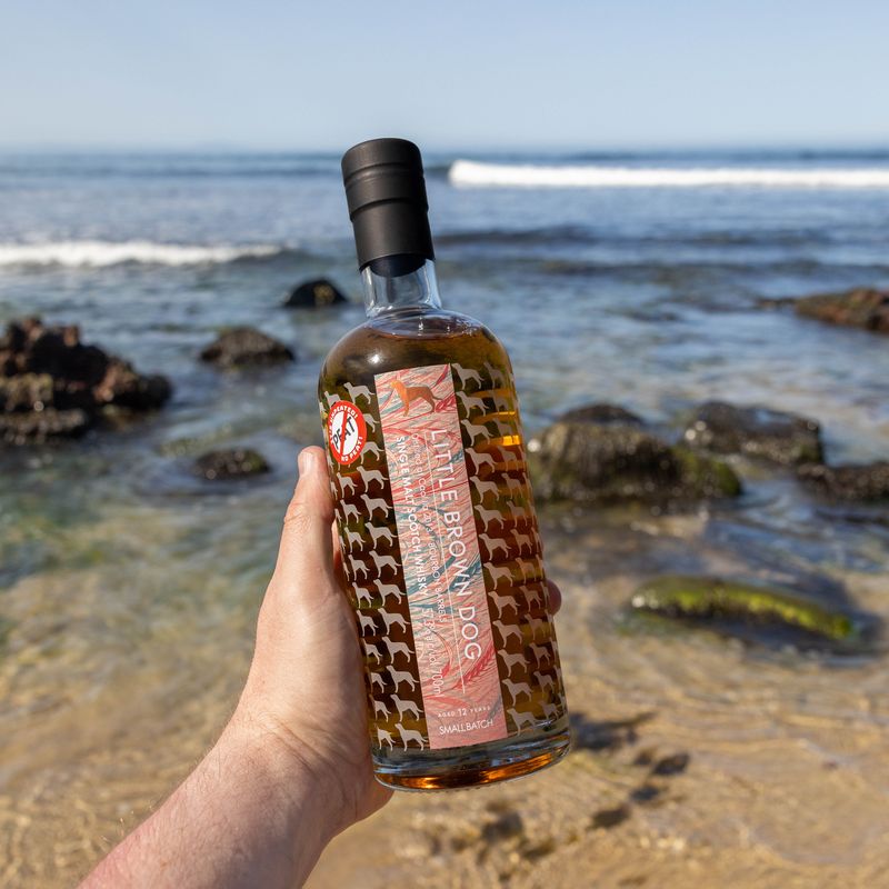 Caol Ila 2013 limited edition whisky in Banchory whisky shop