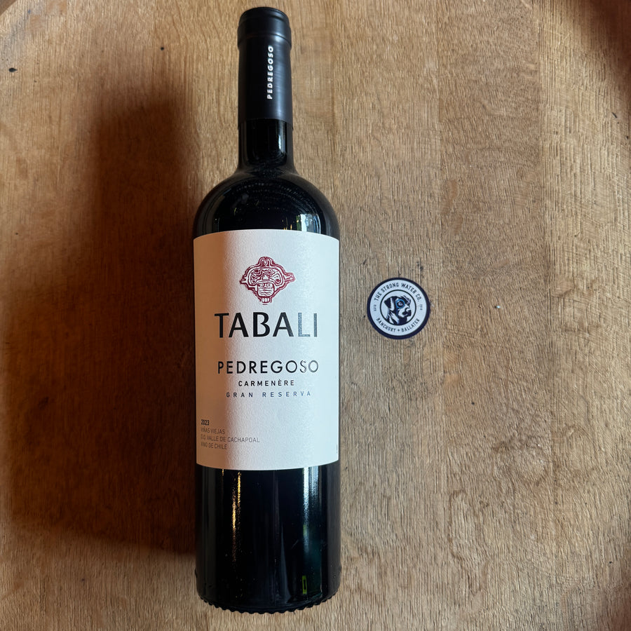 Tabalí Pedregoso Gran Reserva Carmenère Limarí Valley wine bottle and label