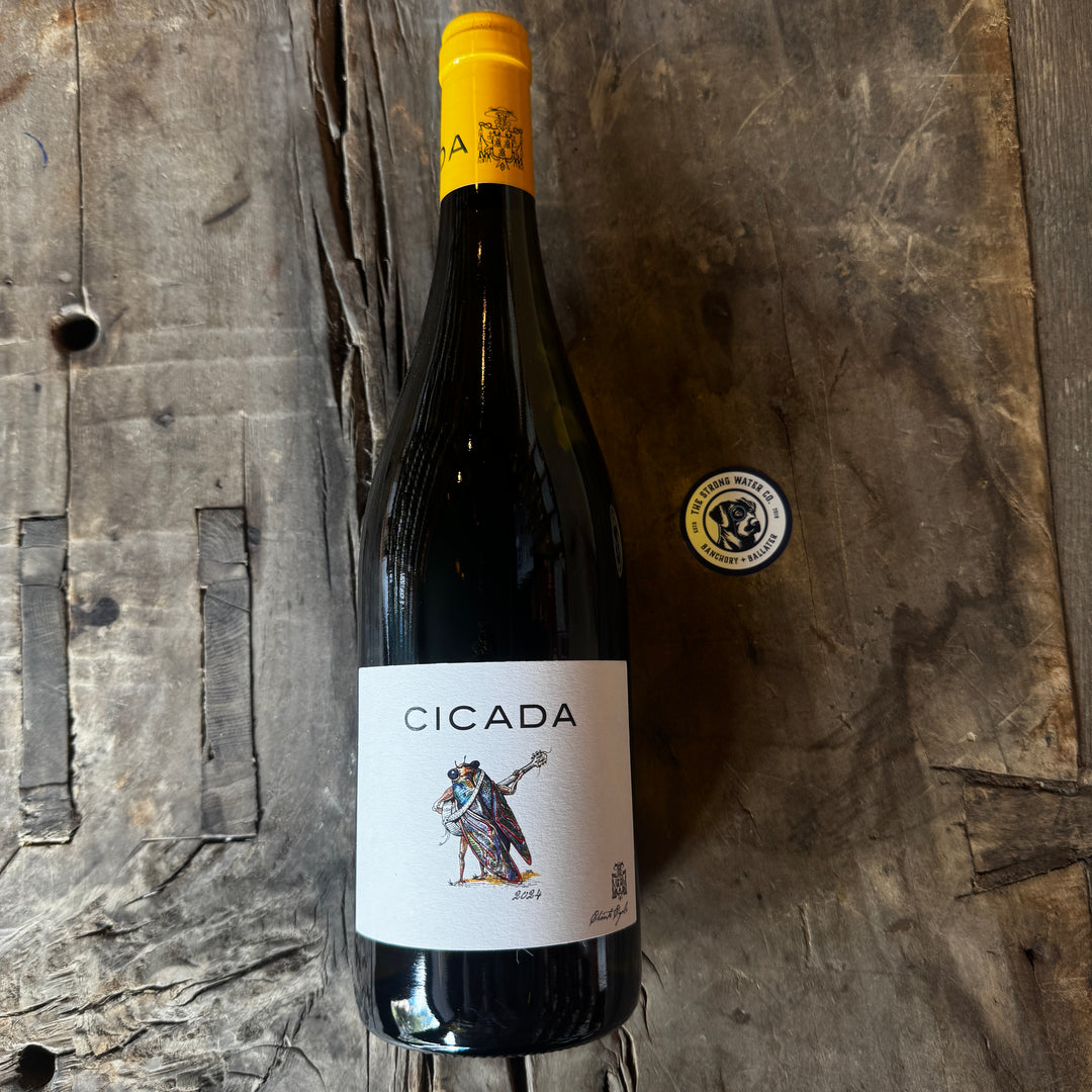 Cicada Blanc by Chante Cigale Rhône white wine bottle and label