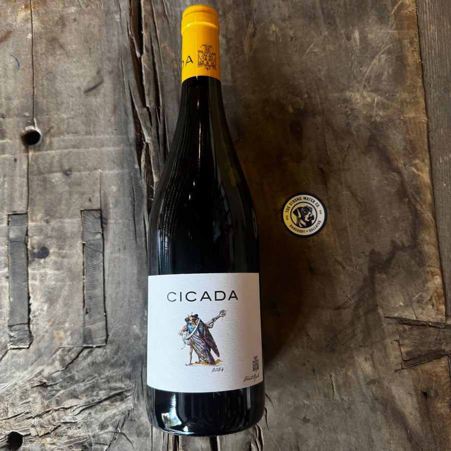 Cicada Blanc by Chante Cigale Rhône white wine bottle and label