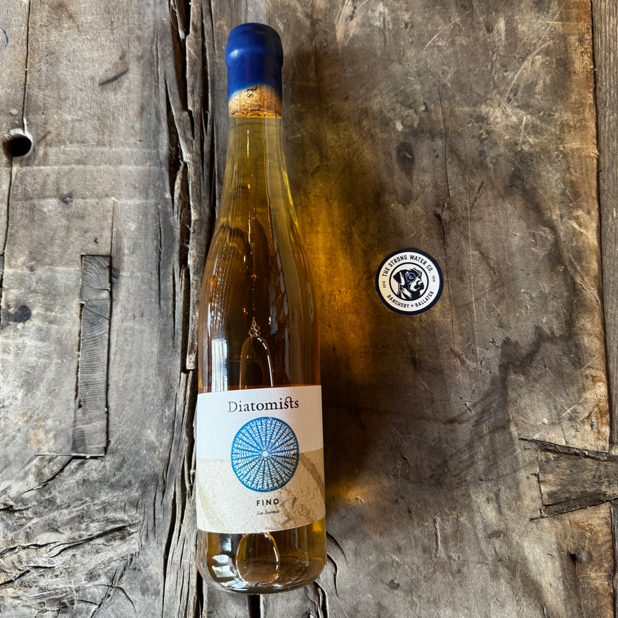 Fino Sherry Single Pago by Diatomists Spanish fortified wine bottle