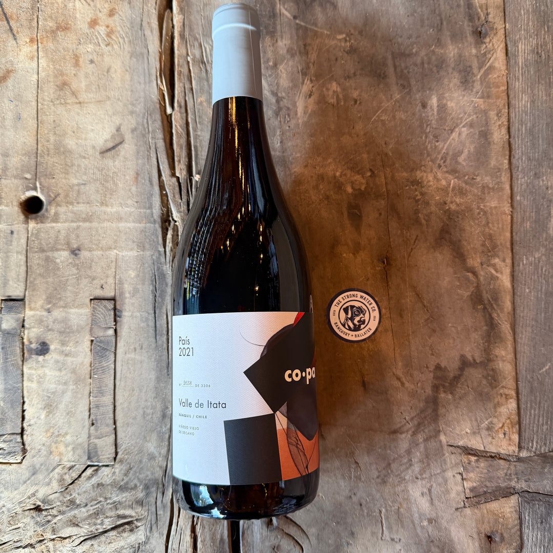 CoPa País | Valle de Itata 2021