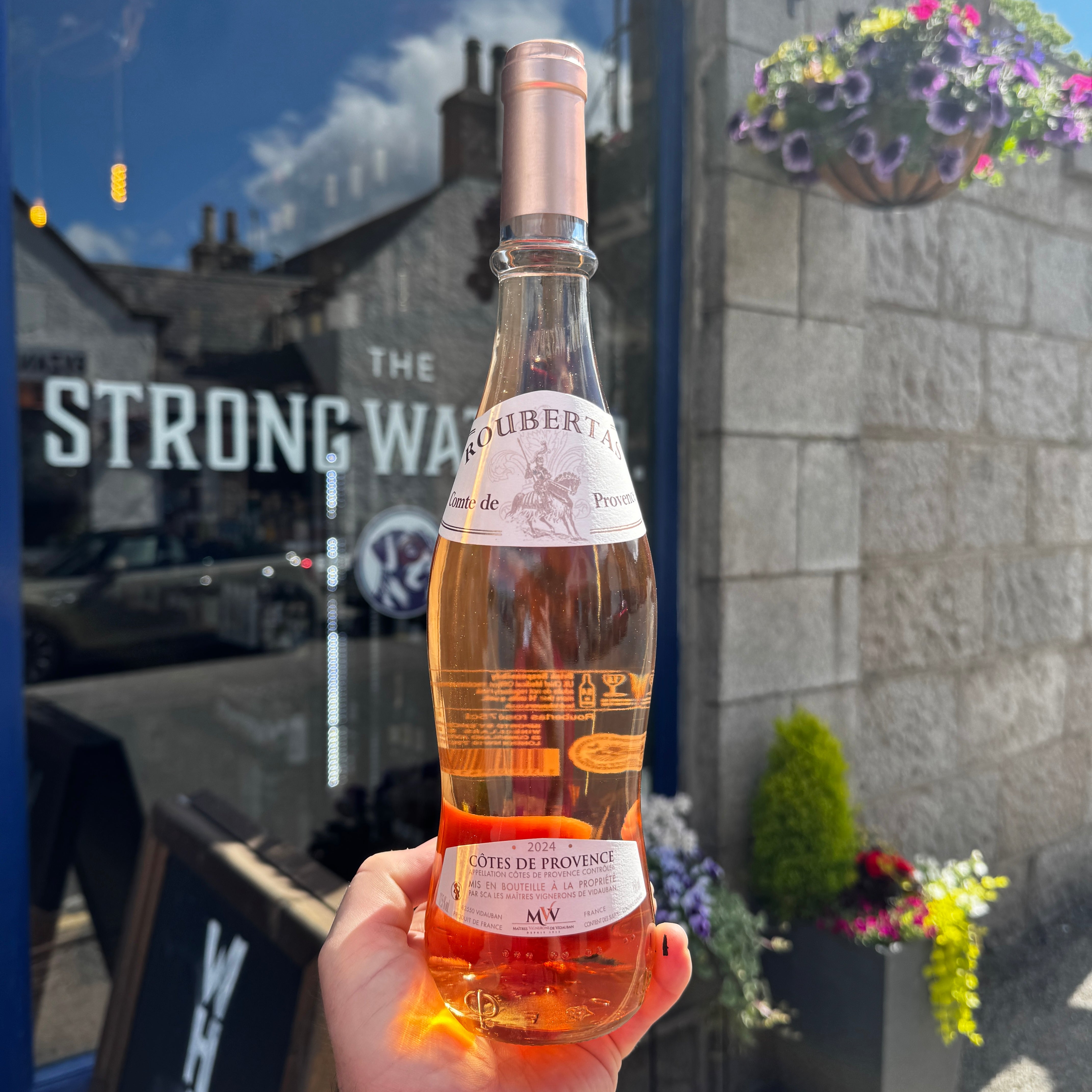Rosé Wine