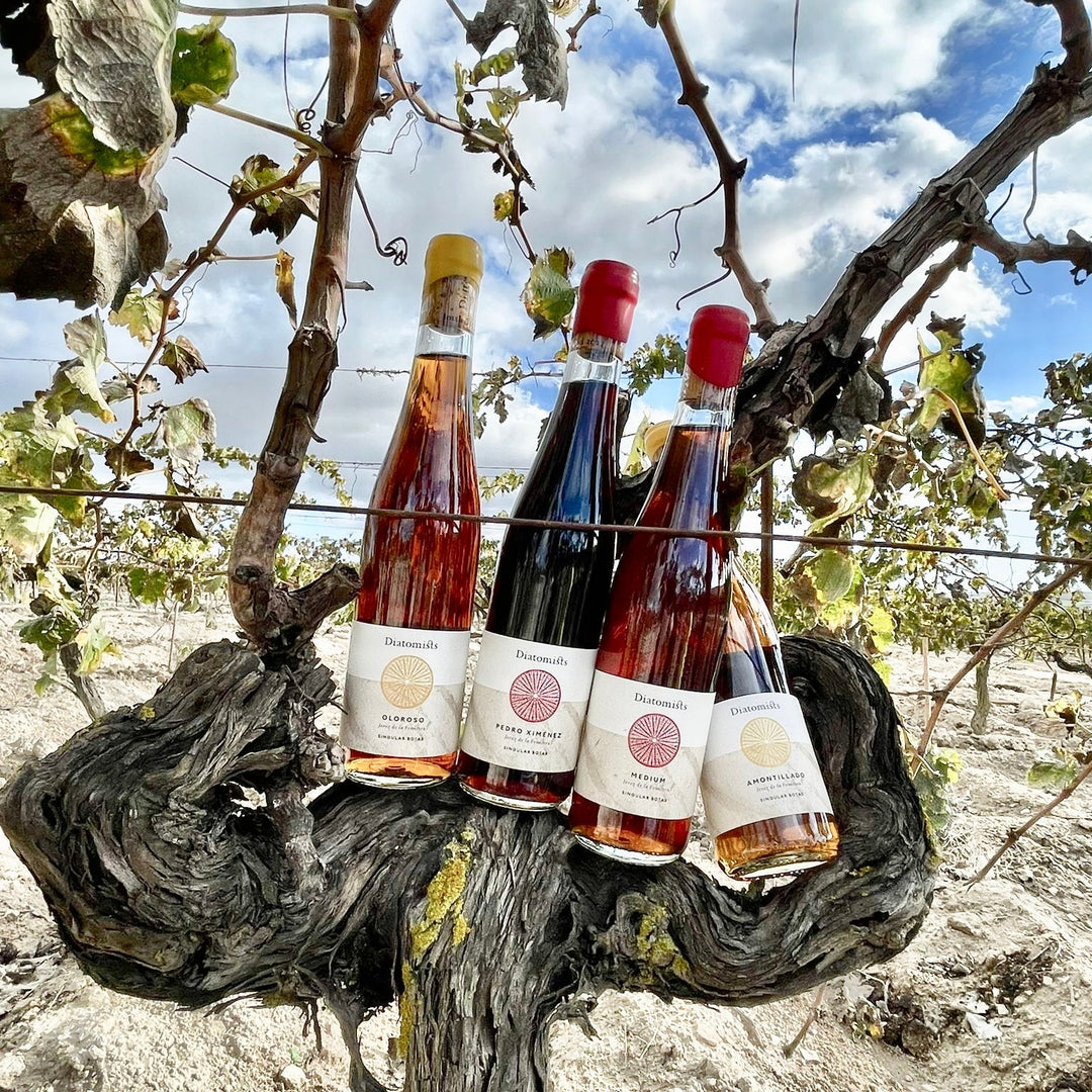 Diatomist Sherry Tasting - 29th July 2026 - BALLATER