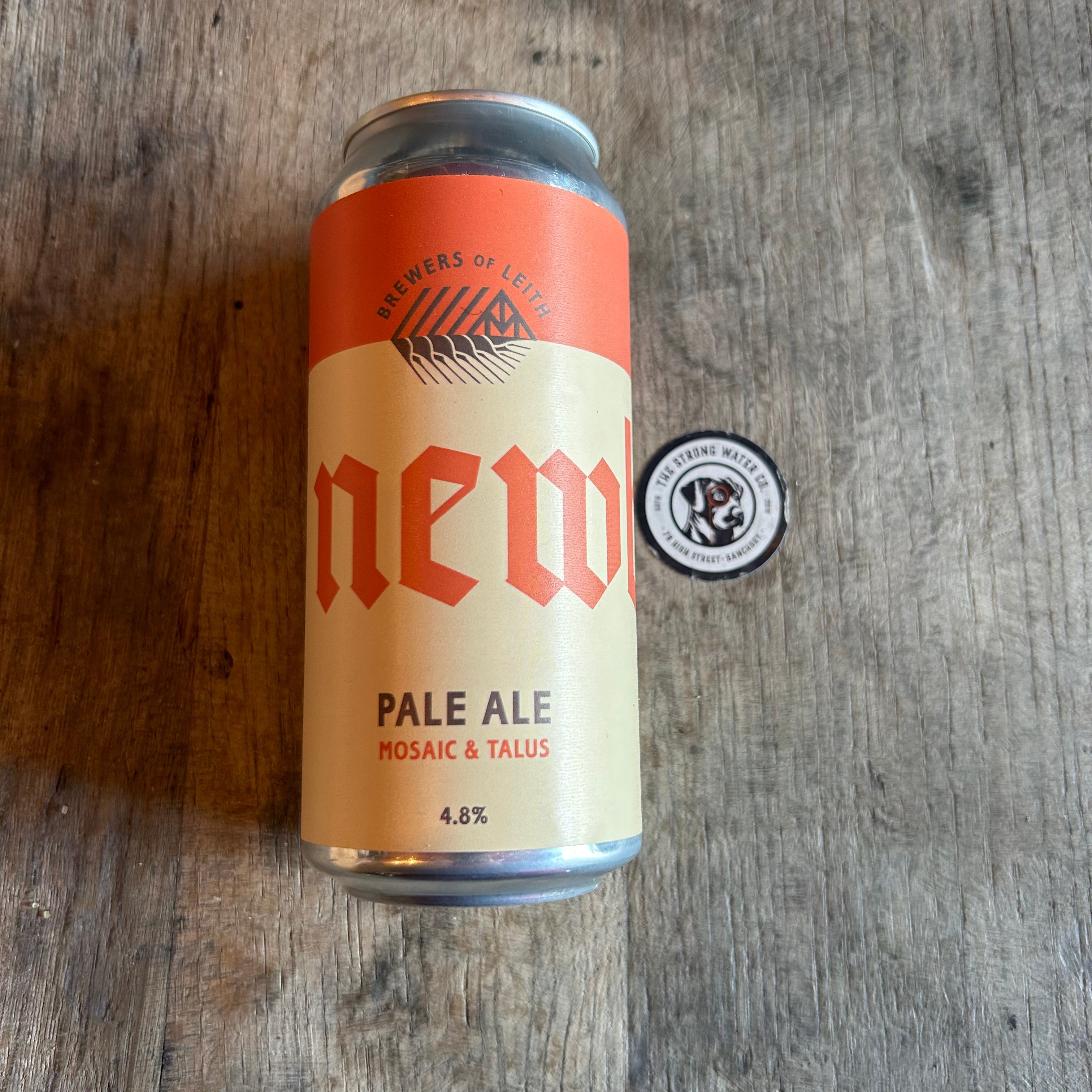 Pale Ale Can - Newbarns – The Strong Water Co.