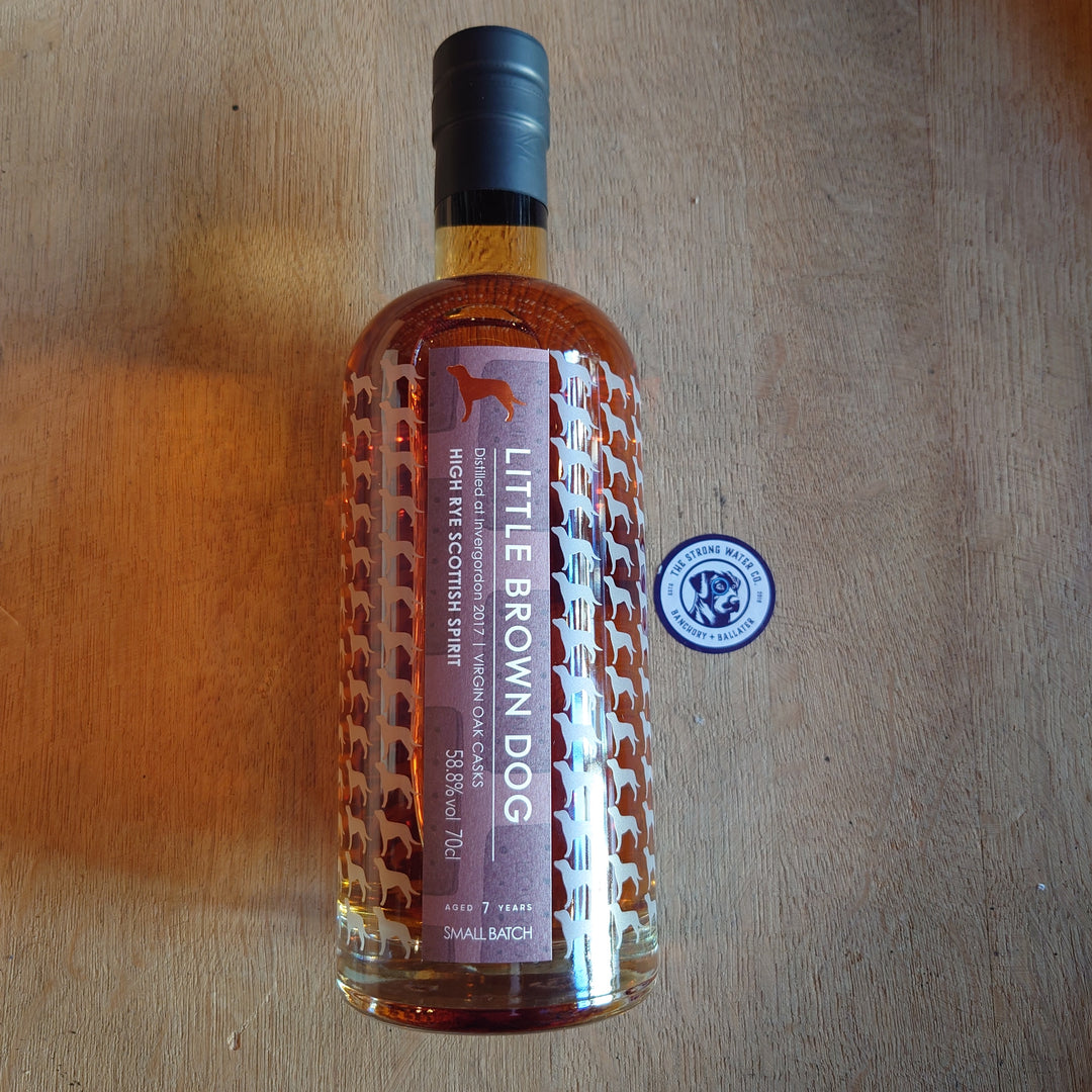 Invergordon 2017  | Little Brown Dog