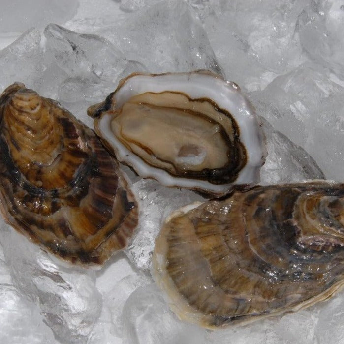 Virtual Whisky & Oyster Tasting with Douglas Laing & Cumbrae Oysters